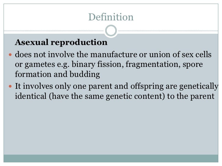 What does asexual reproduction mean photos 55